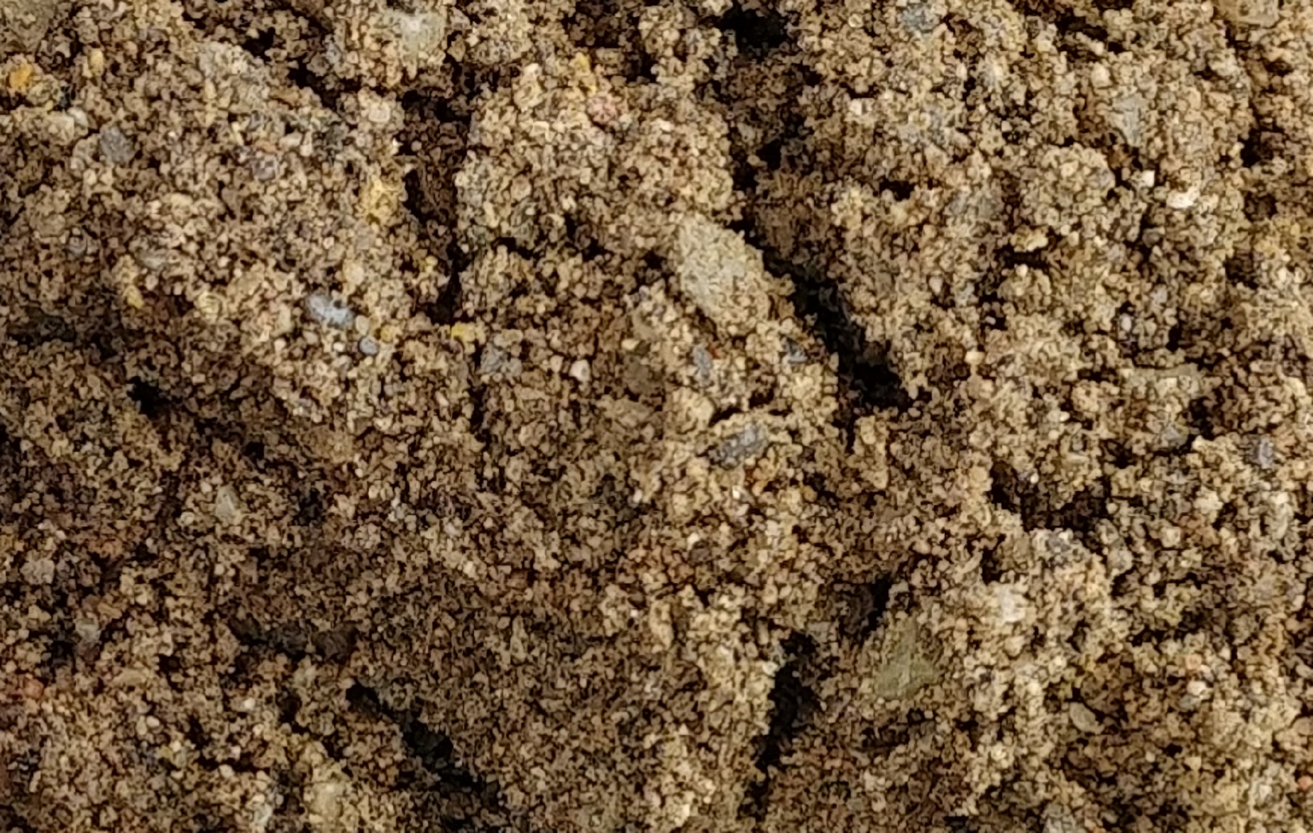 Pickled Salt in Breslau